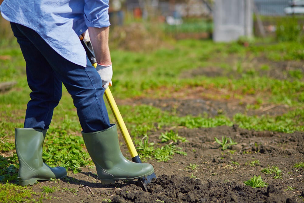 kertásással, talajlazítással előkészíthető a talaj a veteményezéshez