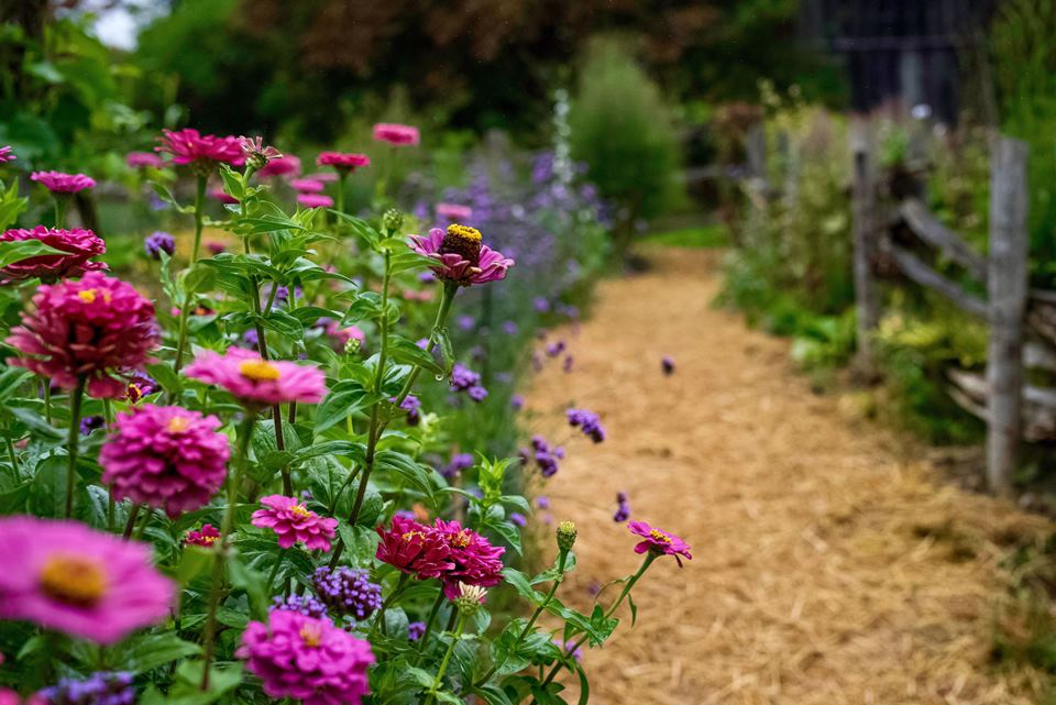 környezettudatos lépésekkel a kert szebb és egészségesebb