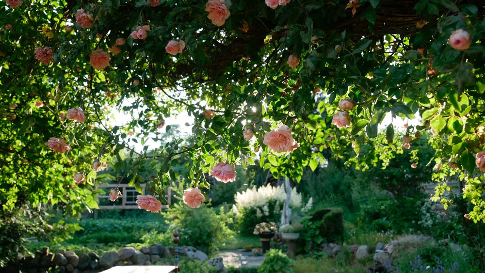 kerti gépek segítségével varázslatos kertet alakíthatsz ki