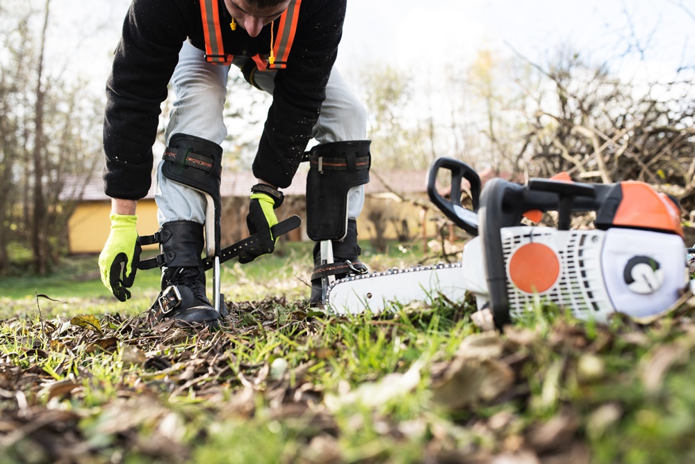 Milyen kerti gépekkel teheted könnyebbé, gyorsabbá és hatékonyabbá a kerti munkát? Adunk néhány hasznos tippet!
