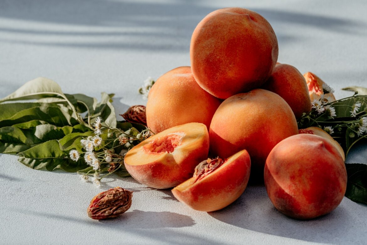 Pálinkafőzés otthon tippek